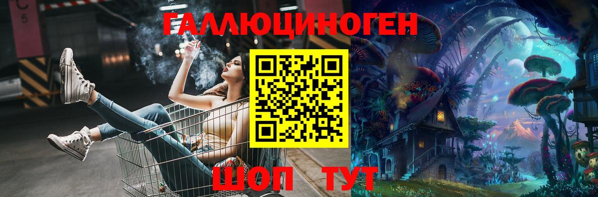 Галлюциногенные грибы MAGIC MUSHROOMS  Вход с VPN  Красногорск  Псилоцибиновые грибы Psilocybine cubensis 
